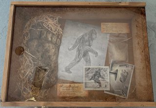 Colección Bigfoot / Yeti: Pruebas