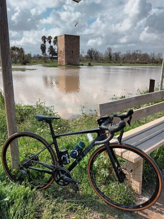 Cambio Bicicleta carretera por Gravel Talla S