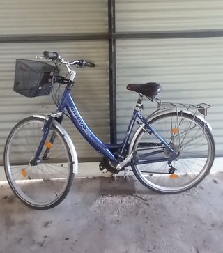 Bicicleta Giant Rodado 28