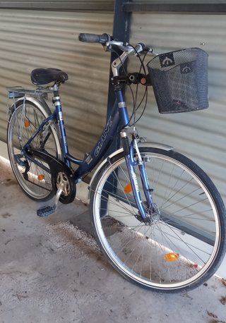 Bicicleta Giant Rodado 28