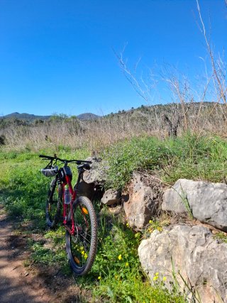Bicicletta da montagna Cannondale 29 quasi nuova