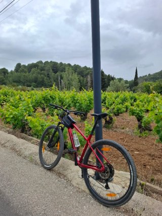 Bicicletta da montagna Cannondale 29 quasi nuova