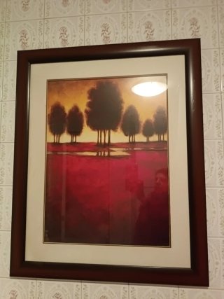 Dos cuadros decoración ,precio por los dos