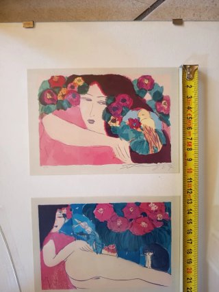 6 Cartoline da Collezione Wallasse Vintage