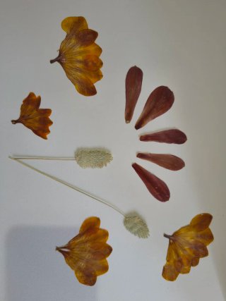 Fiori pressati decorativi