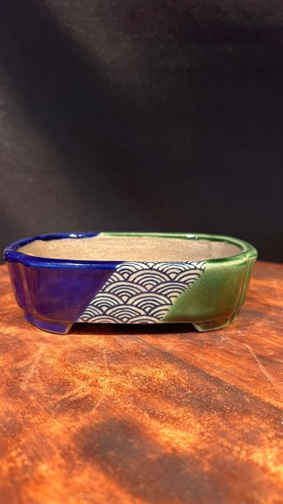 MACETA BONSAI TERAHATA SATOMI TOKONAME JAPON OVAL