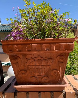Macetas de terracota con relieve floral