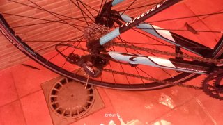 Bicicleta de carretera Wilier Triestina