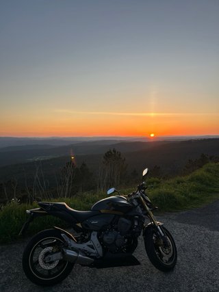 Honda CB 600F Hornet 2008 Negra/Dorado