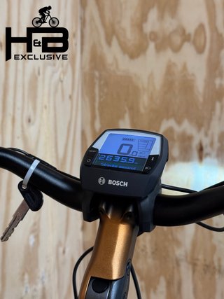 Flyer Gotour2 5.00 Shimano Nexus 2022