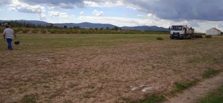 Se vende de parcela de 8000 metros con pozo.