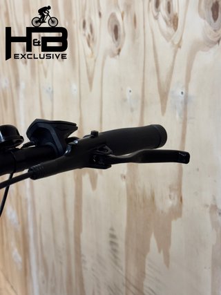 Diamant Opal+ Shimano Nexus 2022