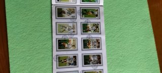 Futebol Post 1984 Coleção Cromos