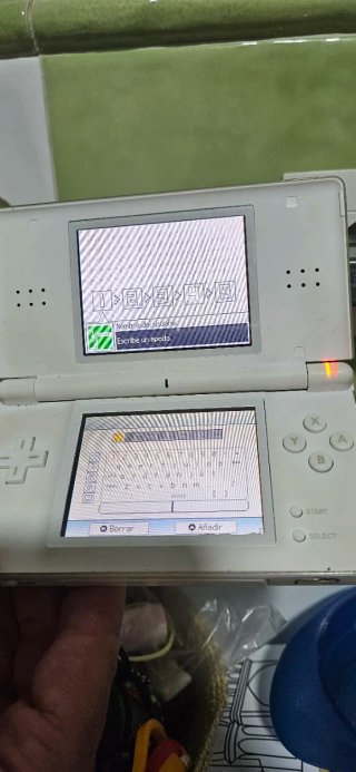 Lote 2 Nintendo DS Lite (Blanco y Negro)
