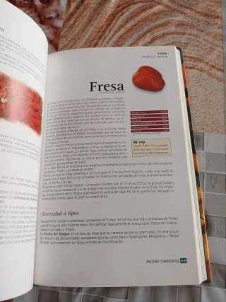 Guías de alimentación y nutrición: Frutas