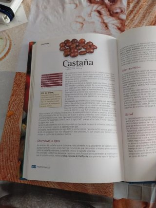 Guías de alimentación y nutrición: Frutas