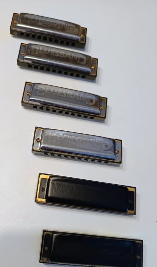 6 Armoniche Hohner Blues con custodia