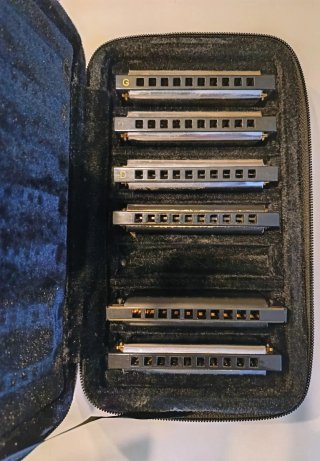 6 Armoniche Hohner Blues con custodia