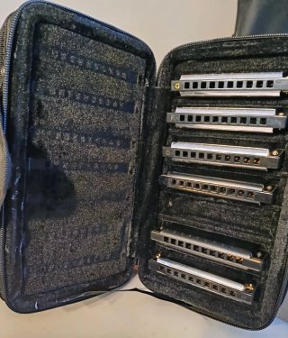 6 Armoniche Hohner Blues con custodia