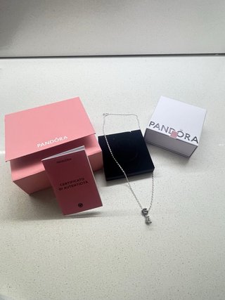 Collana Pandora Ciondolo Laurea Argento