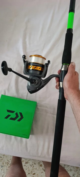 Caña y carrete DAIWA Sensor Siluro