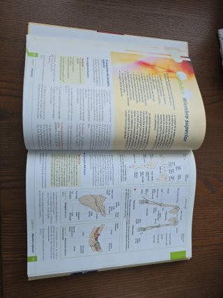 Manual de anatomía y fisiología humana
