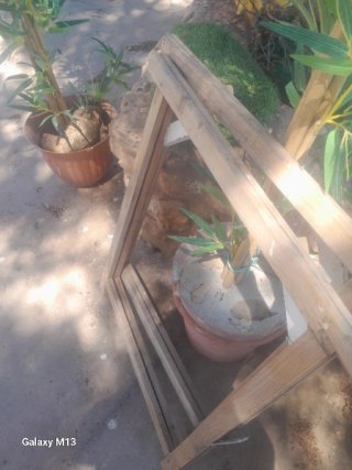 Caballetes de madera para trabajos