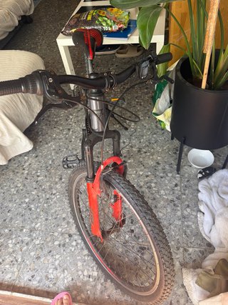 Bicicleta infantil 20 aprox 10 años