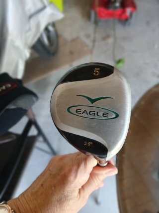 Bolsa de golf y palos