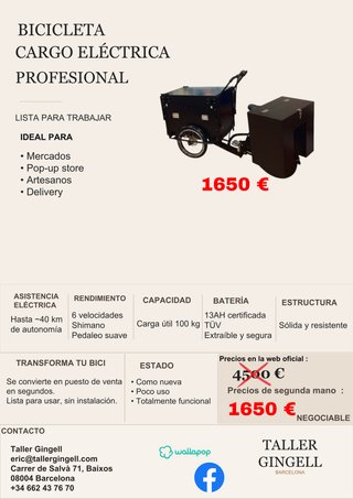 Bicicleta Eléctrica Cargo Profesional