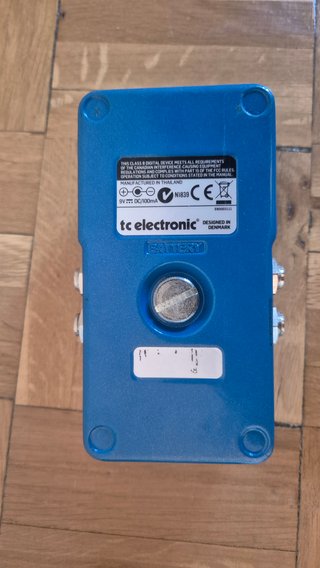 TC Electronic Flashback Delay Looper