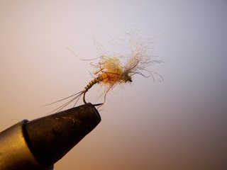 MOSCAS PARA LA PESCA DE TRUCHAS
