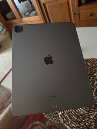 iPad Pro 2022 12.9 Gris espacial M2