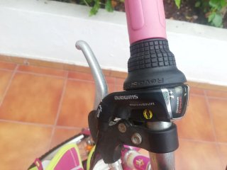 Bicicleta infantil 20'' 6-9 años