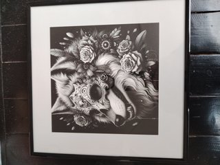 Ilustración enmarcada blanco y negro y color.