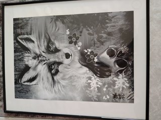 Ilustración enmarcada blanco y negro y color.