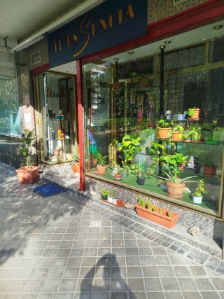 Centro de estética