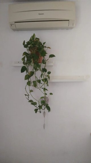 3 estanteria para cuadros Ikea cortas
