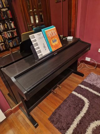Piano Digital Technics SX-PX222/M SX-PX224/M