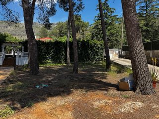 Limpieza (naves y sótanos), jardinería, mudanza,