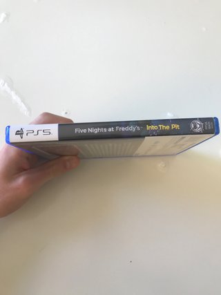Five Nights at Freddy's: Into the Pit PS5