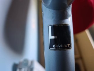 Cuadro Giant Anthem X 26