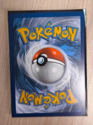 Carta Pokémon Órdenes de Jefes 248/193