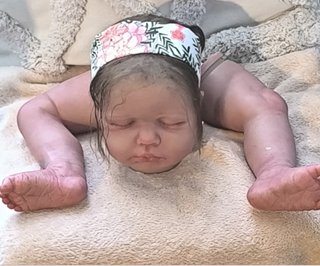 Muñeca Reborn " Claudia "