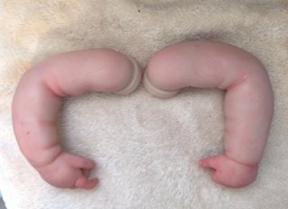 Muñeca Reborn " Claudia "