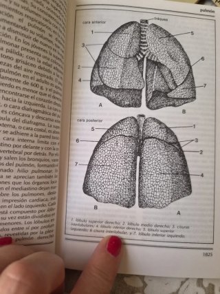 10 volúmenes Medicina y Salud