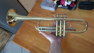 Trompeta Yamaha Xeno en Do