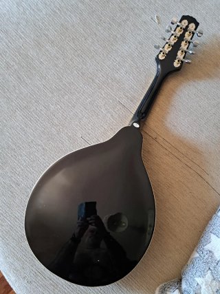 Mandolina Eléctrica Negra Stagg