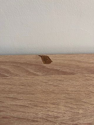Mesa recibidor escritorio madera y metal