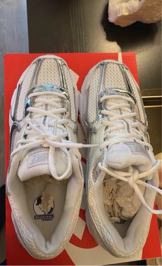 Nike Vomero 5 Plata y Blanco